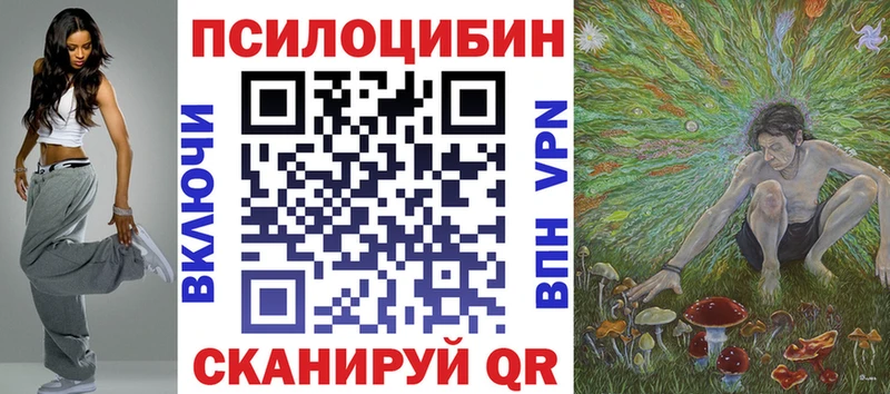 где купить наркоту  Заозёрск  Галлюциногенные грибы Psilocybe 