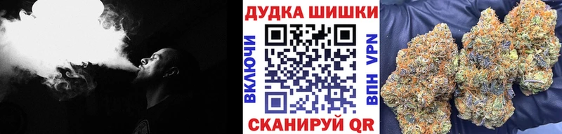 наркота  Заозёрск  Каннабис гибрид 